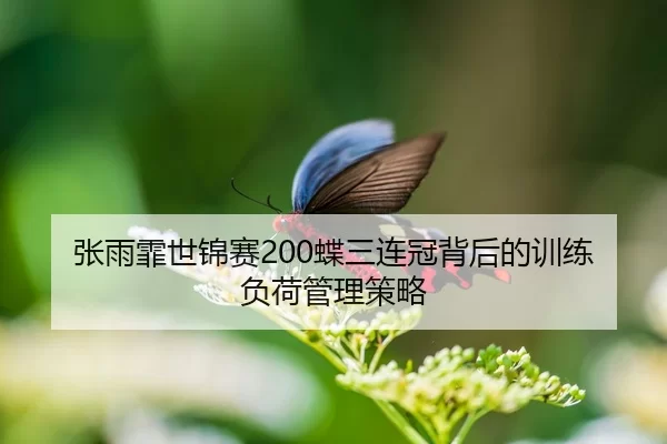 张雨霏世锦赛200蝶三连冠背后的训练负荷管理策略