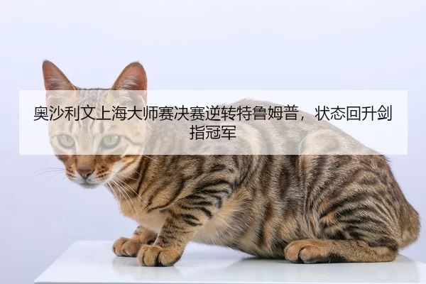 奥沙利文上海大师赛决赛逆转特鲁姆普，状态回升剑指冠军